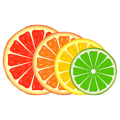 Image showing Citrus