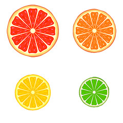 Image showing Citrus