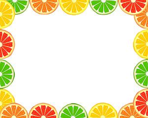 Image showing Citrus frame