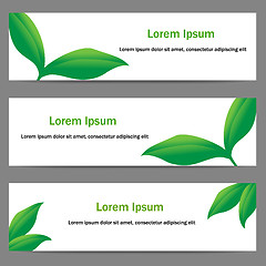 Image showing Banners with green leaves