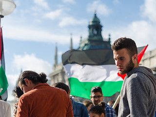 Image showing Young European activists at the Palestinian demonstration