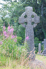 Image showing Very old gravestone on a cemetery