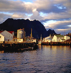 Image showing Lofoten