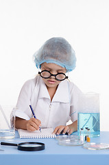 Image showing Pharmacist writing in a notebook