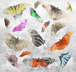 Image showing Butterfly Background