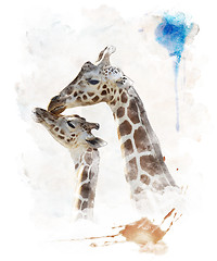 Image showing Watercolor Image Of Giraffes