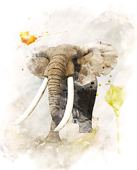 Image showing Watercolor Image Of Elephant