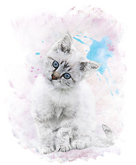 Image showing Watercolor Image Of   White Kitten