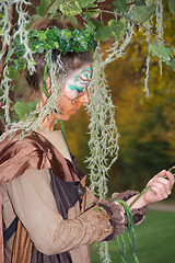 Image showing autumn fairy