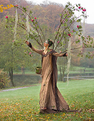 Image showing autumn fairy