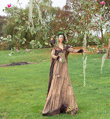 Image showing autumn fairy