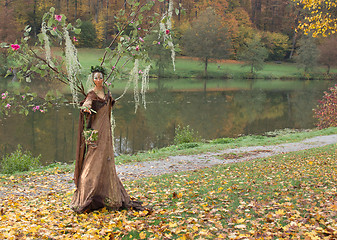 Image showing autumn fairy