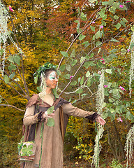 Image showing autumn fairy