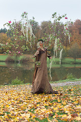 Image showing autumn fairy