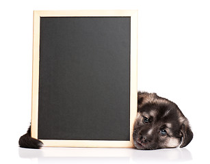 Image showing Puppy with blackboard