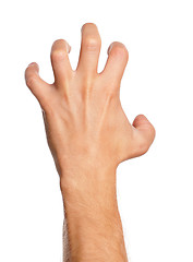 Image showing Man hand