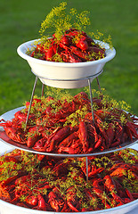 Image showing Boiled or steamed crawfish 