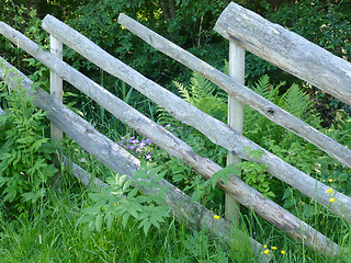 Image showing Fence