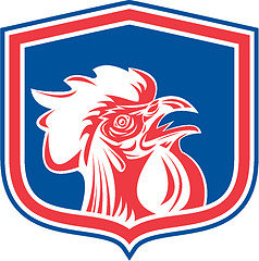 Image showing Chicken Rooster Head Mascot Shield Retro