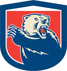 Image showing Grizzly Bear Swiping Paw Shield Retro