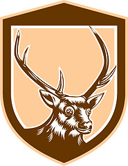 Image showing Deer Stag Buck Head Woodcut Shield