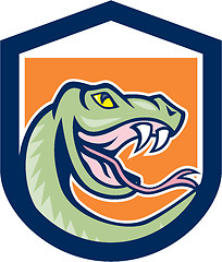 Image showing Rattle Snake Head Shield Cartoon