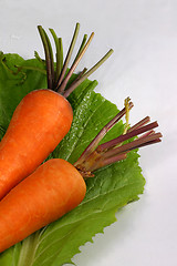 Image showing fresh carrot