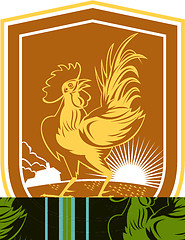 Image showing Chicken Rooster House Sunburst Shield Retro