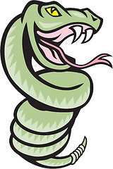 Image showing Rattle Snake Coiling Up Cartoon
