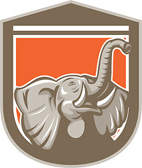 Image showing Elephant Head Looking Up Shield Retro