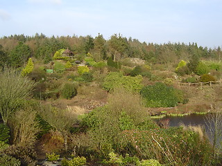 Image showing Scotish landscape