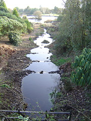 Image showing Big creek