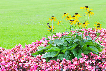 Image showing Floral angle wallpaper with pink and yellow flowers