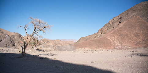 Image showing Stone desert in Israel