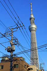 Image showing Tokyo sky tree