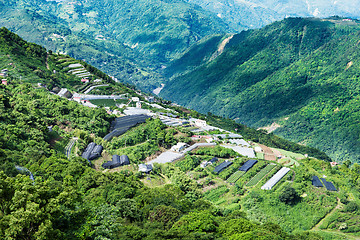 Image showing Farm on mountain