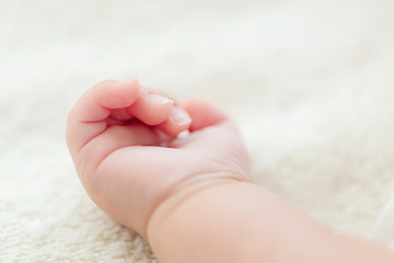 Image showing New born baby hand