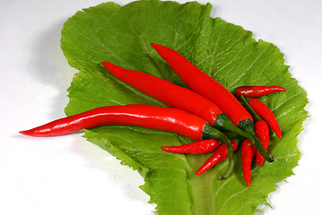 Image showing fresh chilli