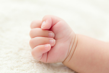 Image showing Baby hand