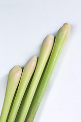 Image showing fresh lemongrass