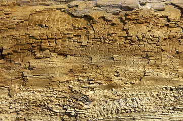 Image showing Driftwood detail sand point beach England uk