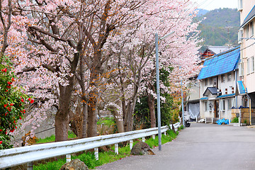 Image showing Kyoto city