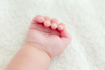 Image showing Newborn baby hand