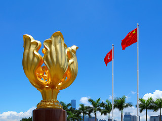 Image showing Golden bauhinia square