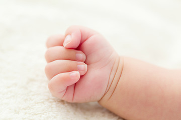 Image showing Newborn baby hand