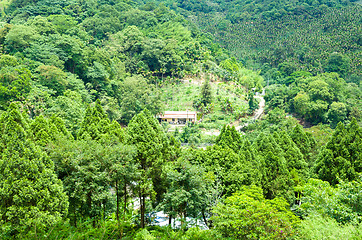 Image showing Forest from top view