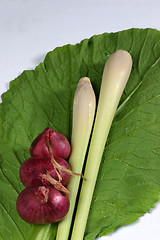 Image showing fresh vegetable