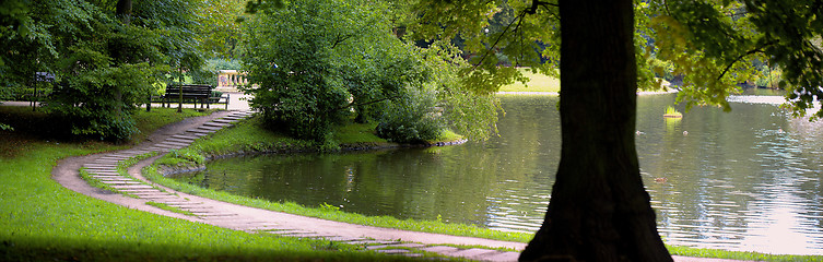 Image showing Lush forest