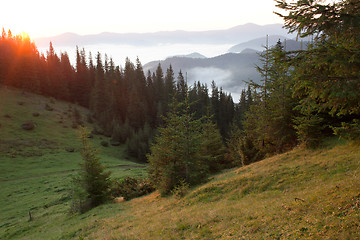 Image showing Summer sunrise