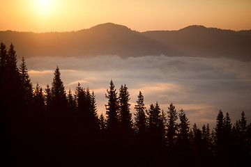 Image showing Summer sunrise